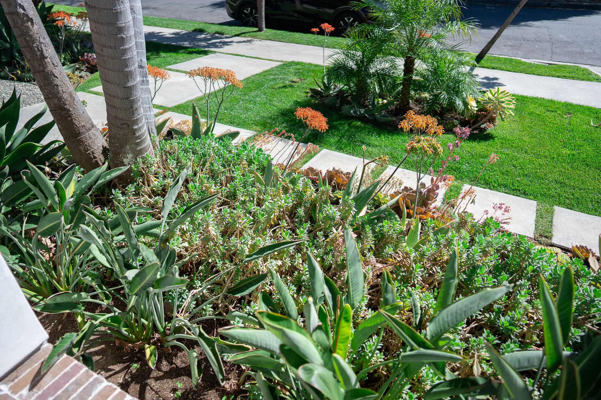 Olivewood Landscaping (72) Olivewood Landscaping (72)